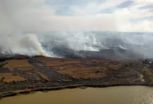 Continúan los incendios en las islas del Delta del Paraná